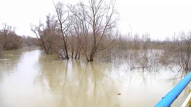 河水决堤视频素材