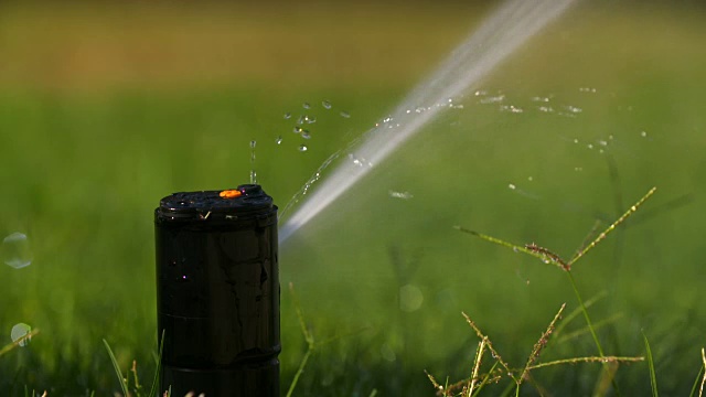 水洒水器的慢动作特写视频素材