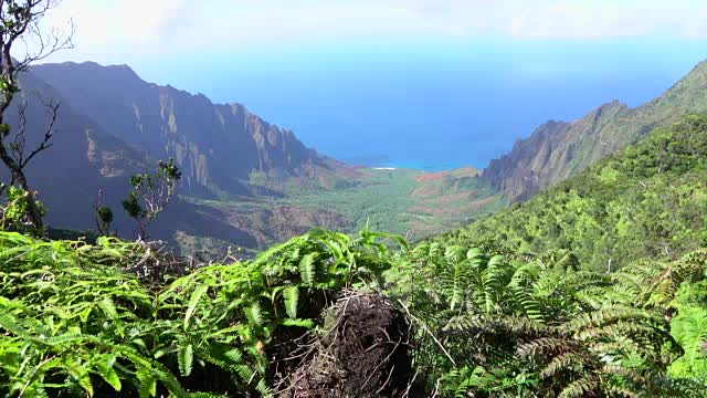 令人惊叹的山顶景色穿过丛林山谷朝向绿松石海洋视频素材