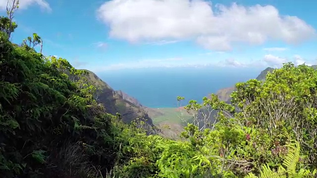 风景如画，高山林立，丛林山谷郁郁葱葱，海洋湛蓝视频素材