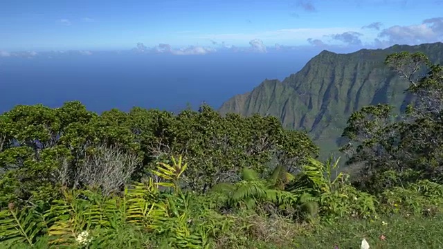 山顶植被繁茂，俯瞰火山谷和蓝色的海洋视频素材