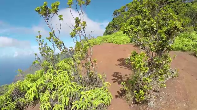 FPV:在山边徒步旅行，可以欣赏到丛林、山谷和海洋的美景视频素材