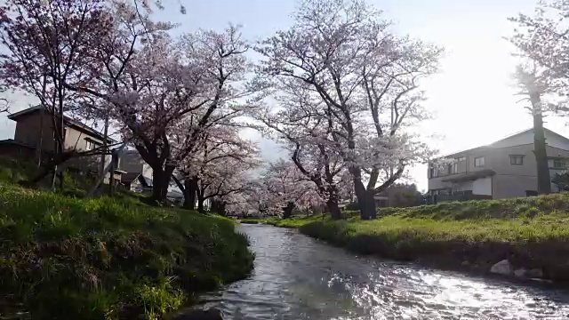 kawageta日本福岛视频下载