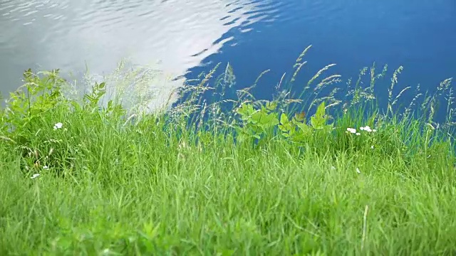 湖面上，荡漾着云和绿草的倒影视频素材