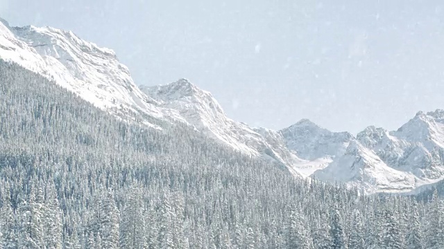 山里的雪视频素材