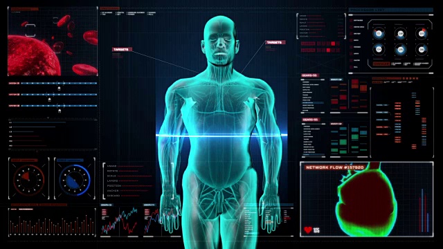 人体内脏，数字显示消化系统。前视图。视频素材