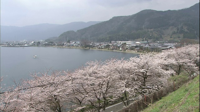 海祖滨的远景。视频素材