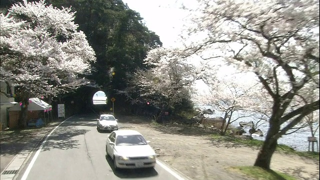 穿过大崎隧道。视频素材