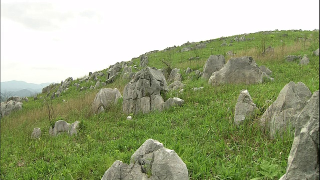 秋吉田是日本规模最大的石灰岩岩溶台地。视频素材