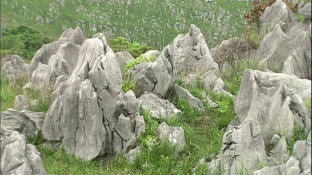 石灰岩散布在秋吉田的喀斯特台地上。视频素材