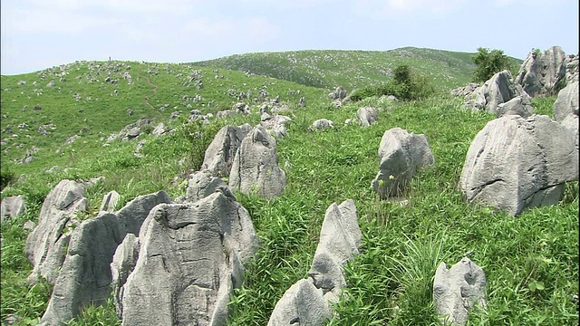 在高地上，有一个人那么高的石灰岩尖塔。视频素材