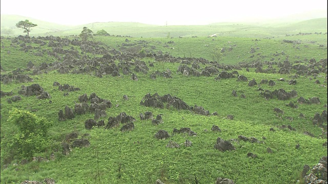 石灰石表面，潮湿，在雨中变暗。视频素材