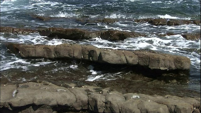 在青岛岛海岸的食人魔洗衣板岩石。视频素材