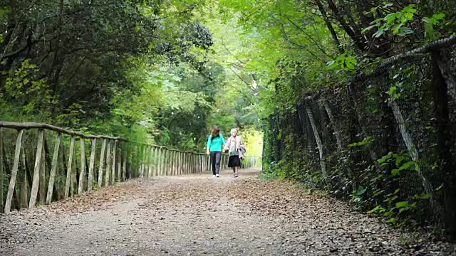 奶奶和孙女手牵着手在公园里散步视频素材