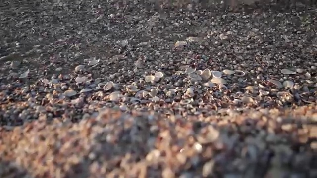 小贝壳在沙滩上，海浪在海滩上视频素材