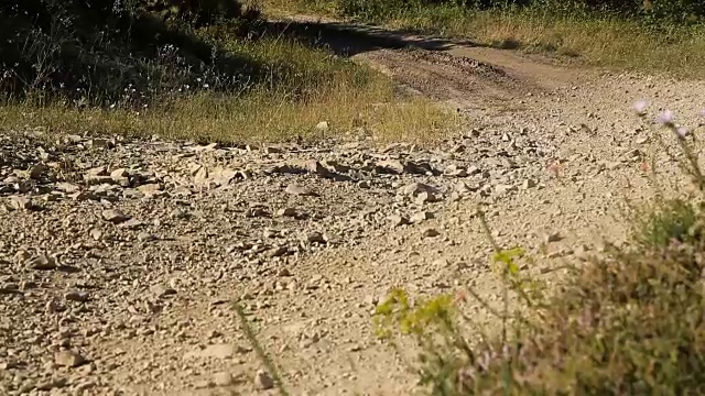 男性骑着山地车在山路上骑行视频素材