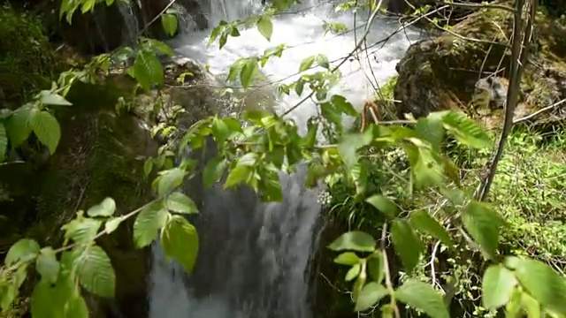 在湍急的河流上查看分支视频素材