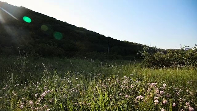 男性骑着山地车在山路上骑行视频素材