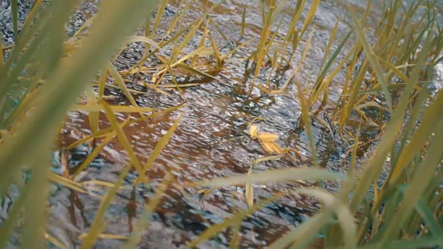 漩涡和水飞溅附近的河流过渡。莫慢，莫慢视频素材