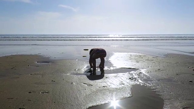 婴儿在海滩上摸水坑视频素材