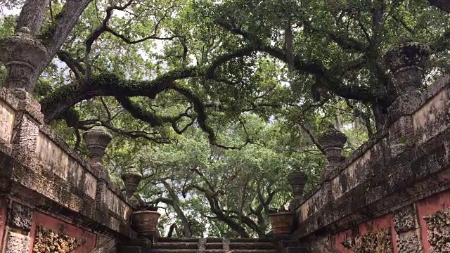 古老的楼梯视频下载