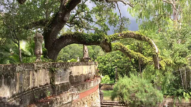 古代遗迹视频下载