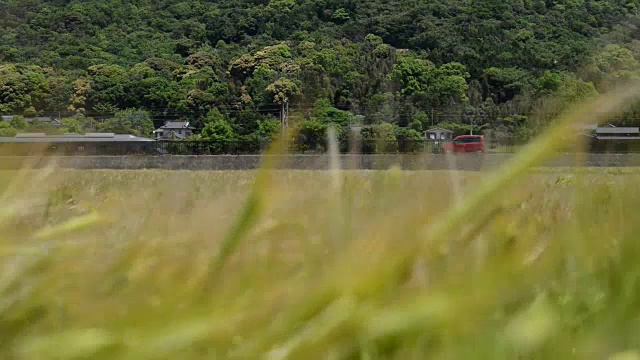 一列黑色的火车在麦田里行驶视频下载