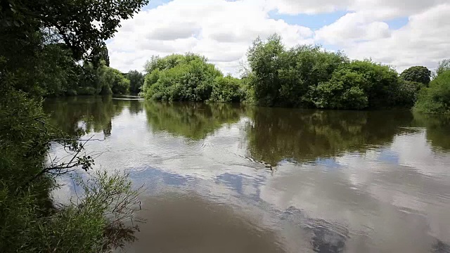 在英国赫里福德郡罗斯河畔的怀伊河上游泳的鸭子视频素材