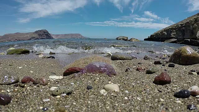 海滩上的沙子里垂死的水母视频下载