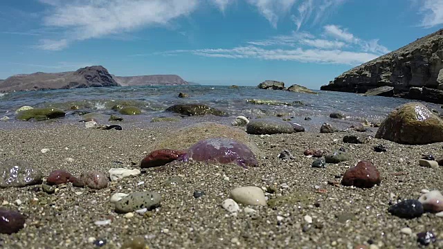 海滩上的沙子里垂死的水母视频素材