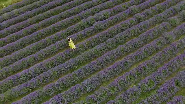 在薰衣草地里的女孩视频素材