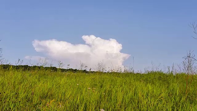 驯服圈。云飘下山去。视频素材