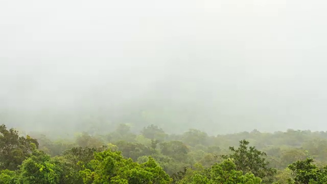 时光流逝:泰国，流动的雾和森林视频下载