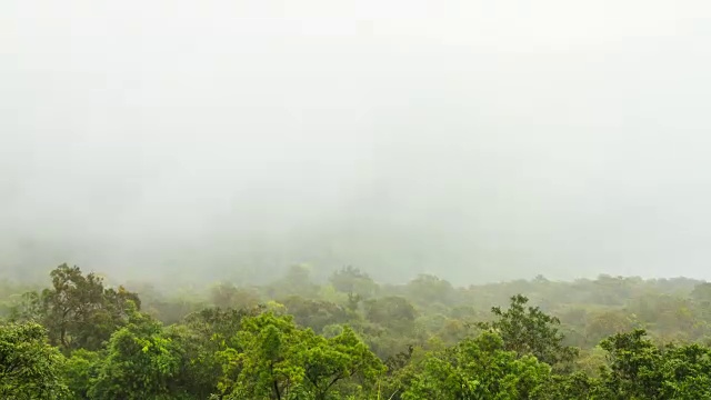 时光流逝:泰国，流动的雾和森林视频素材