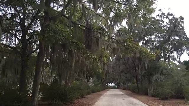 在路上开车视频下载