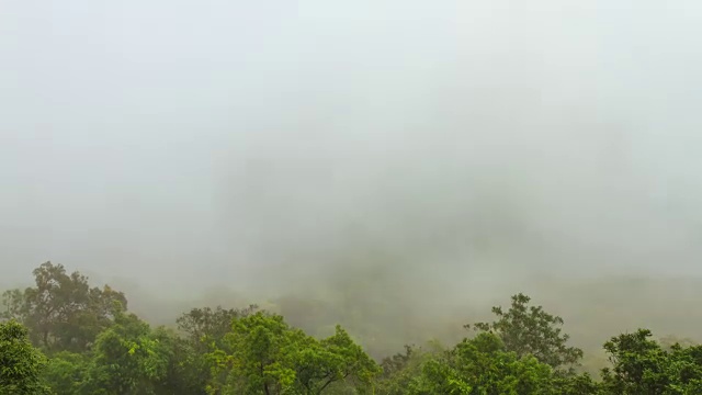 时光流逝:泰国，流动的雾和森林视频素材