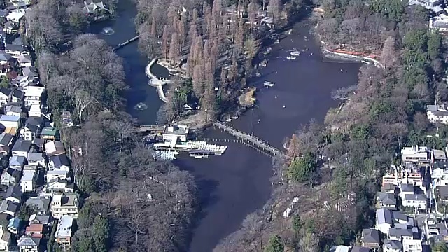 AERIAL, Inokashira公园，东京视频素材