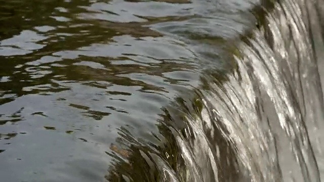 流动的河水特写视频素材