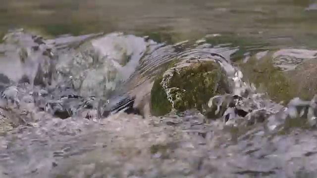 日本东京奥多摩市多摩河的水流视频素材