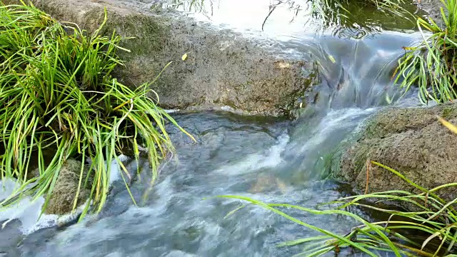 湍急的河流和水中的石头视频素材