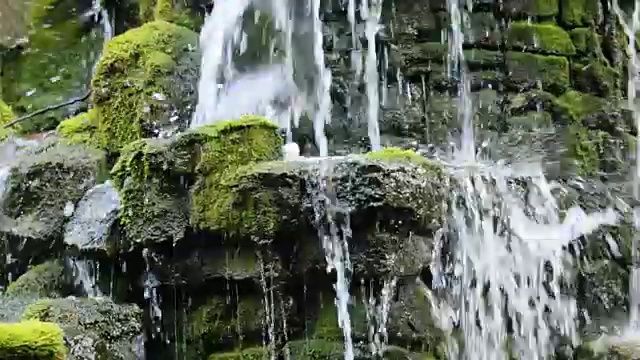 森林中的小瀑布，苔藓覆盖的岩石视频素材