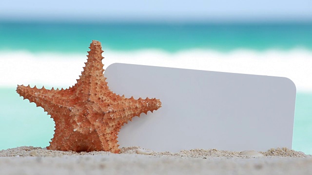 空白的白板和海星上的沙子对绿松石加勒比海水视频素材