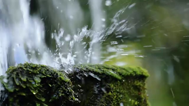 小溪流在苔藓石上近距离流动视频素材