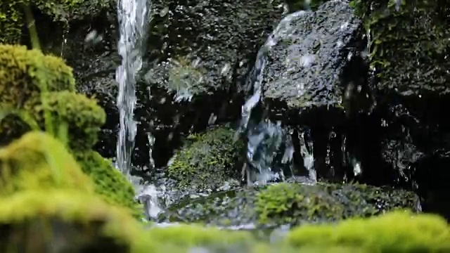 森林中的小瀑布，苔藓覆盖的岩石视频素材