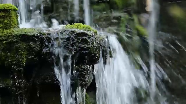 小溪流在苔藓石上近距离流动视频素材