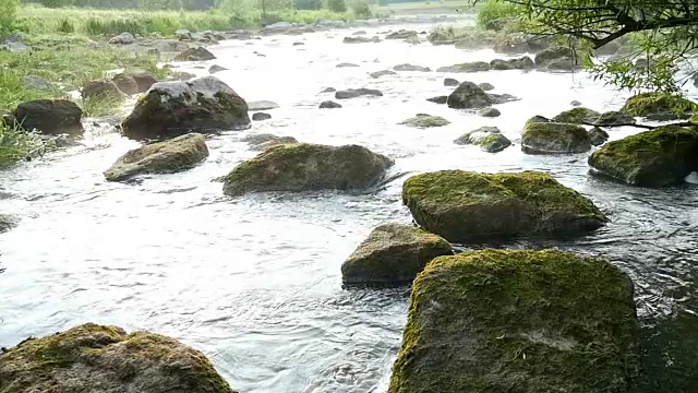 河流景观与石头和植物视频素材