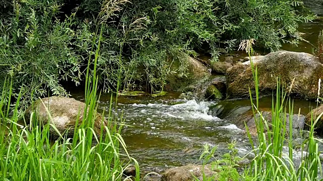 河流景观与石头和芦苇视频素材