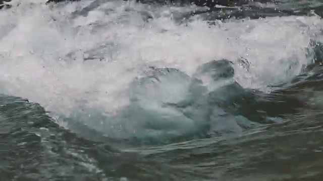 日本东京奥多摩市多摩河的水流视频素材