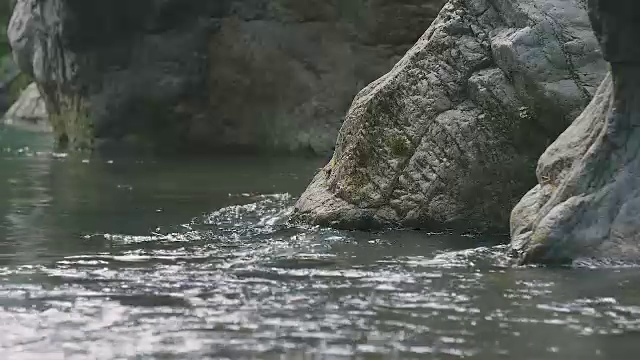 日本东京奥多摩市多摩河的水流视频素材