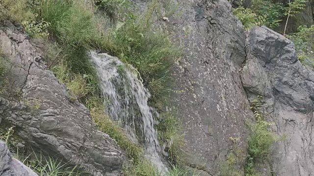 日本东京奥多摩市多摩河的水流视频素材